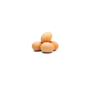 fresh eggs